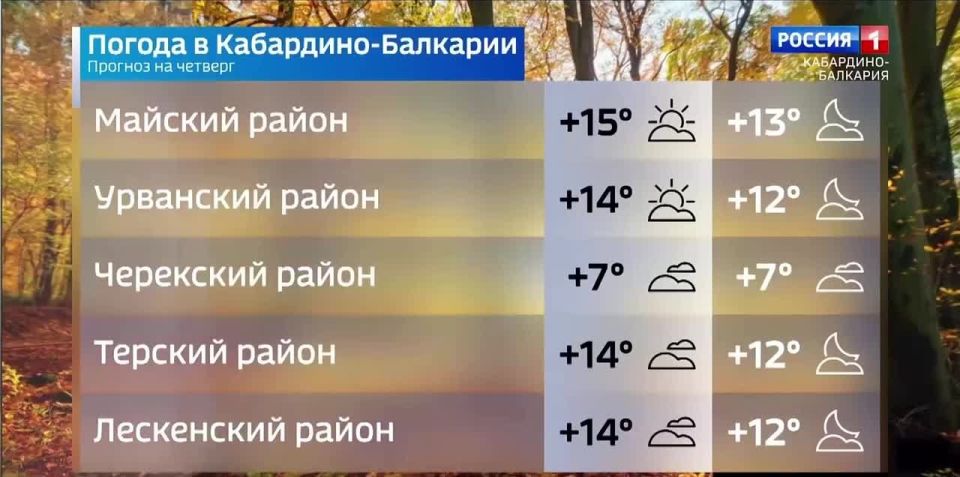           +11- ,    