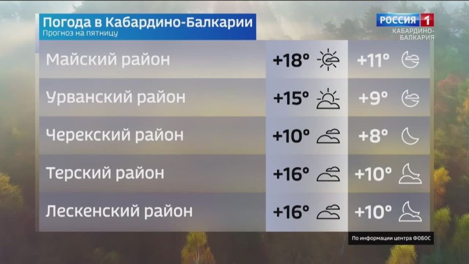      ,        +12- ,   +8 