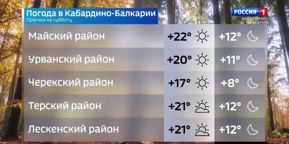   ,        +19- ,   +12 
