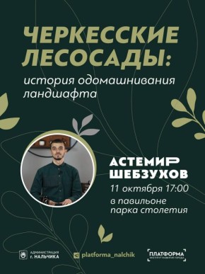 11 , 17:00                 