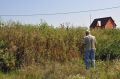Соседский участок в забвении: Как бороться с произрастанием сорняков?