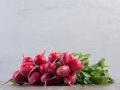 Как сохранить редис от вредителей: проверенные советы для дачников
