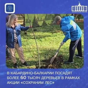 В Кабардино-Балкарии высадят более 60 тысяч деревьев в рамках акции «Сохраним лес»