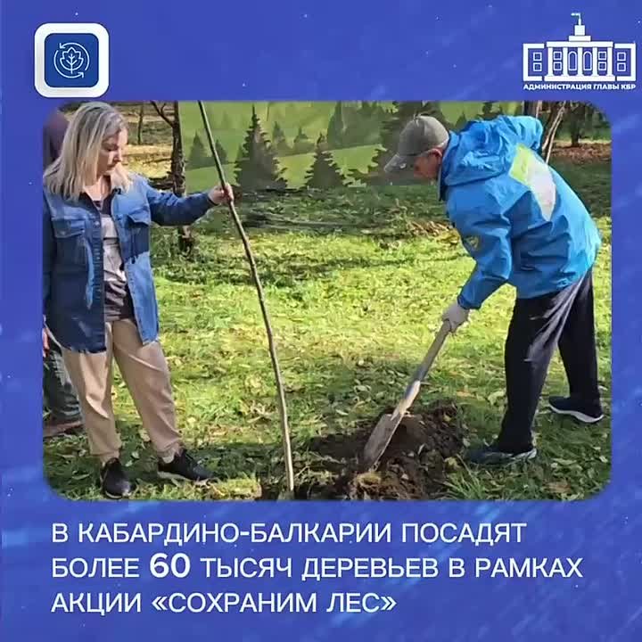 В Кабардино-Балкарии высадят более 60 тысяч деревьев в рамках акции «Сохраним лес»