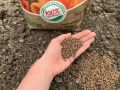 Необычные ингредиенты удобрений: как костная мука, водоросли и табак помогают растениям