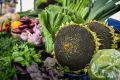Ярмарка вкусного здоровья: свежие семена из природы