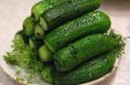 Идеальные малосольные огурчики: лакомство для жаркого лета