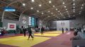 В одиннадцатый раз в столице республики прошел «Кубок вызова» РФСО «Локомотив» по дзюдо