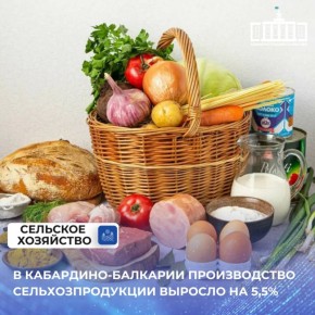 За девять месяцев текущего года в Кабардино-Балкарии объем производства сельскохозяйственной продукции достиг 61 млрд рублей, что составляет 105,5% по сравнению с данными за аналогичный период прошлого года