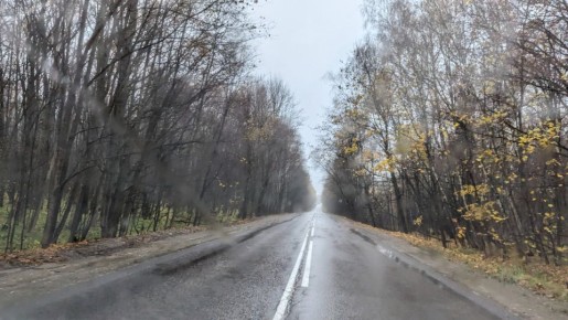 Осенние приключения: уютный шашлык под дождем и праздничный пирог для отца