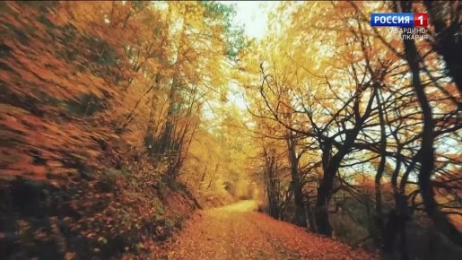 В небе столицы республики ни облачка