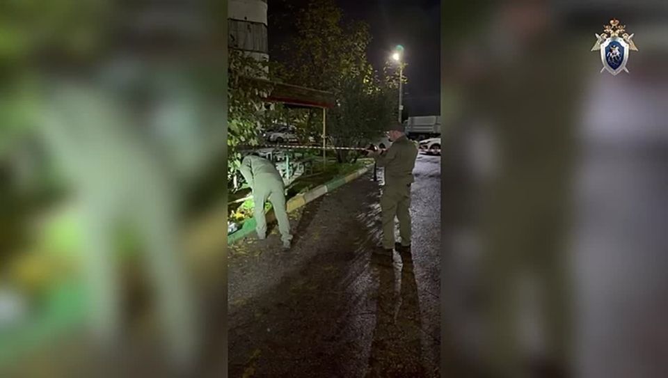 Следственным управлением возбуждено уголовное дело в отношении местного жителя, подозреваемого в хулиганстве