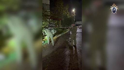 Следственным управлением возбуждено уголовное дело в отношении местного жителя, подозреваемого в хулиганстве