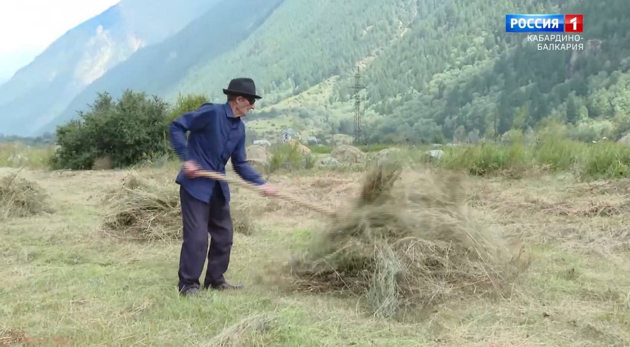 В республике наблюдается естественный прирост населения