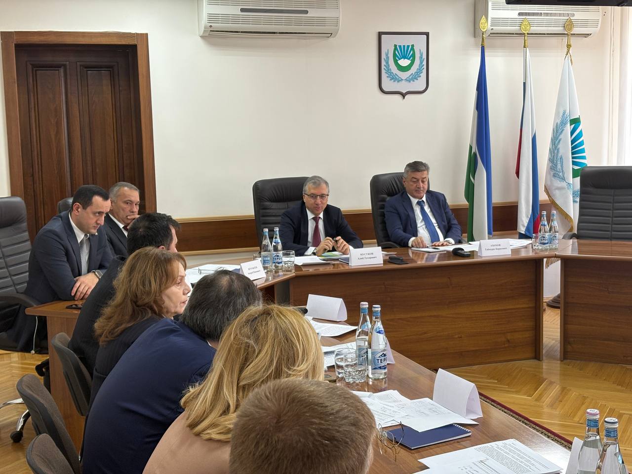 В Нальчике разрабатывают план улучшения городской среды до 2030 года