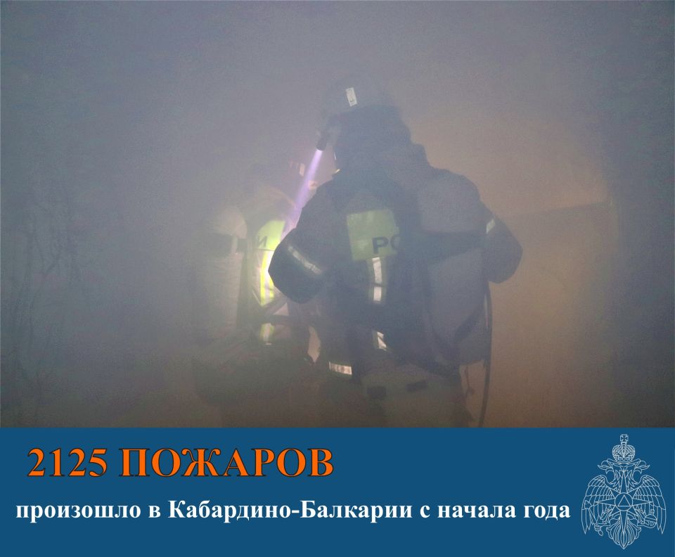 С начала года на территории КБР зарегистрировано 2125 пожаров