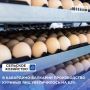За девять месяцев текущего года сельскохозяйственные организации Кабардино-Балкарии произвели около 29 миллионов штук куриных яиц, что на 5,3% больше по сравнению с аналогичным периодом прошлого года