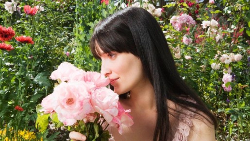 Пышные кусты роз получите уже к концу лета: вот какие сорта лучше всего черенковать