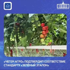 Тепличный комплекс «Чегем Агро» в Кабардино-Балкарии успешно прошёл повторную сертификацию в органе сертификации «Роскачество – Органик» по стандарту «Зелёный эталон»