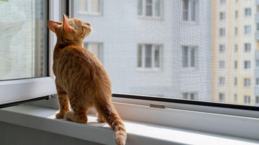 Незаметно залатаете москитную сетку на раз-два: даже нитки не понадобятся