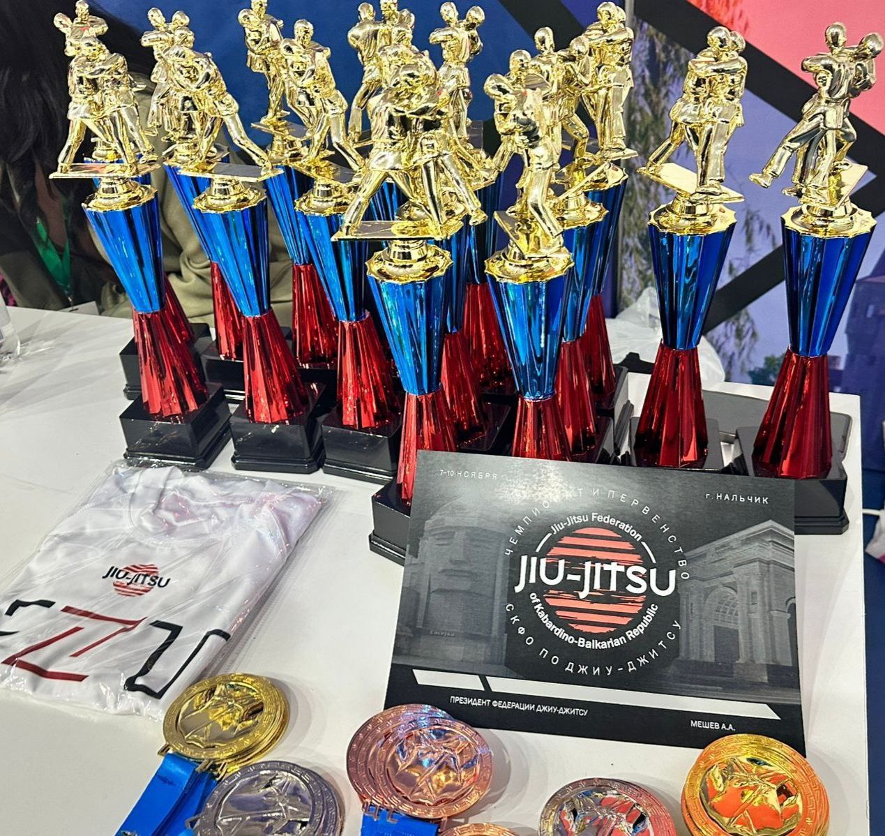 В Универсальном спорткомплексе проходят дебютные для нашей республики чемпионат и первенство СКФО по джиу-джитсу В Универсальном спорткомплексе проходят дебютные для нашей республики чемпионат и первенство СКФО по джиу-джитсу