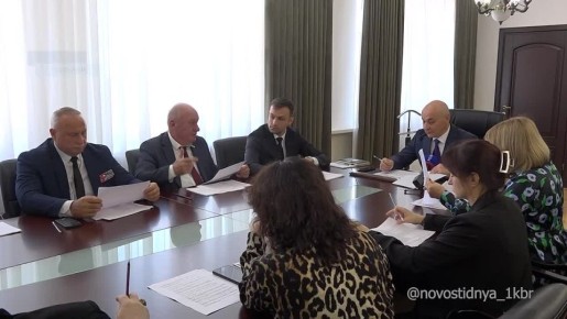 На заседании коллегии Министерства труда и социальной защиты рассмотрели кандидатуры, представленные к награждению государственной наградой КБР - медалью "Материнская слава" в 2025 году