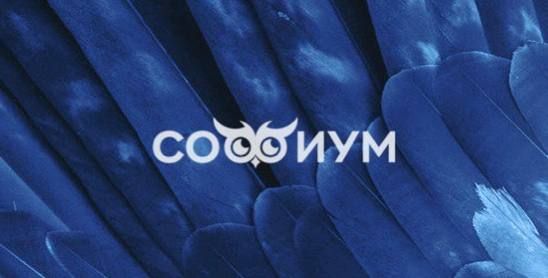 Объявляем старт регионального этапа Всероссийской олимпиады школьников по вопросам избирательного права и избирательного процесса «Софиум»