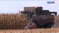 В Баксанском районе завершают уборку кукурузы на зерно