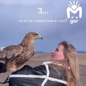 Орёл клюнул девушку в глаз во время фотосессии в Кабардино-Балкарии