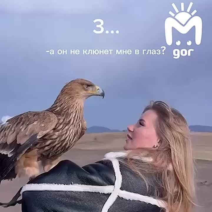 Орёл клюнул девушку в глаз во время фотосессии в Кабардино-Балкарии