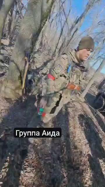  2025 ..   &quot;&quot;,       ,   .. 