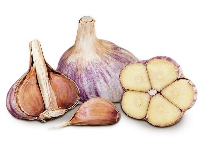 Чеснок в саду: яровой или озимый — что выбрать для удачного урожая?