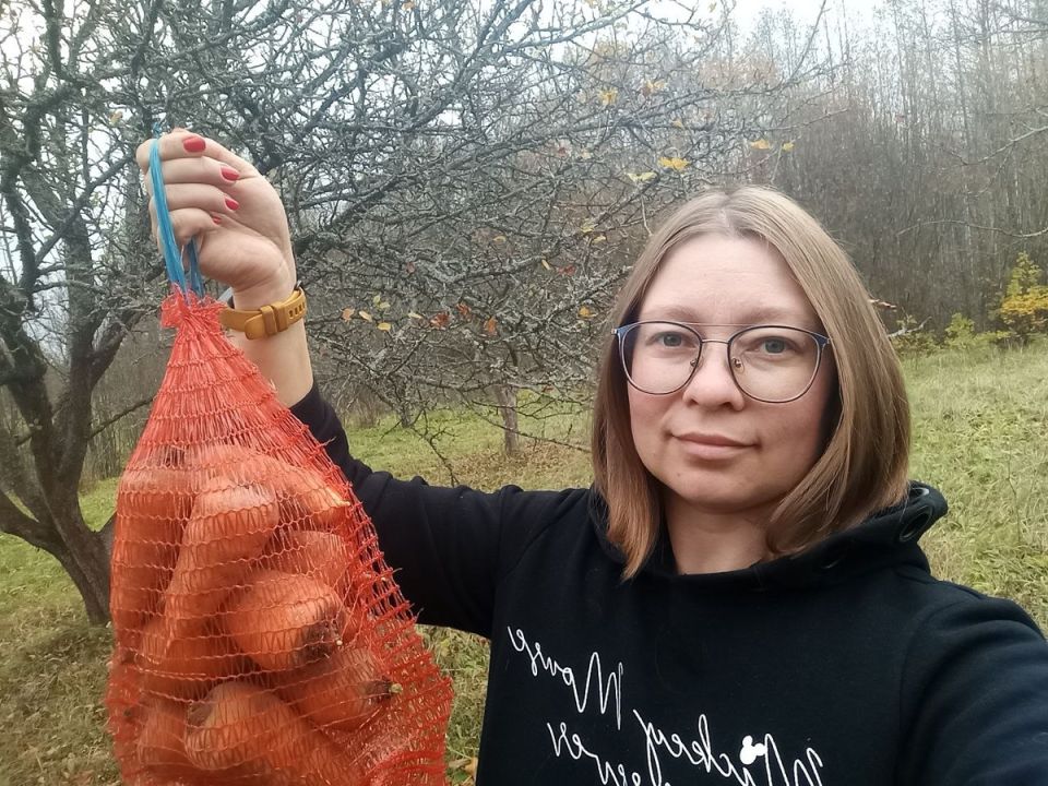 Рейтинг лучших сортов моркови