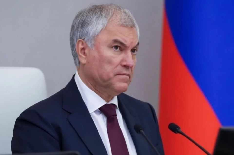 Володин призывает к конфискации активов инициаторов воровства российских средств