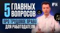 Защита авторских прав: что нужно знать каждому творцу