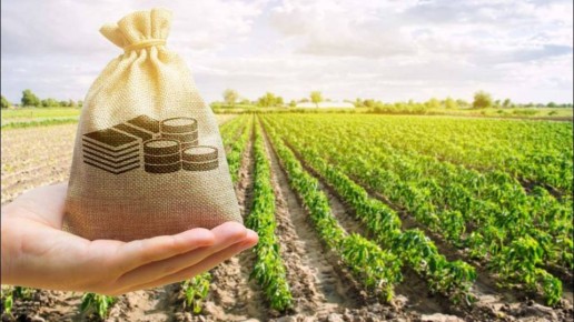 Необычная история: как потеря прав на землю обернулась битвой в суде