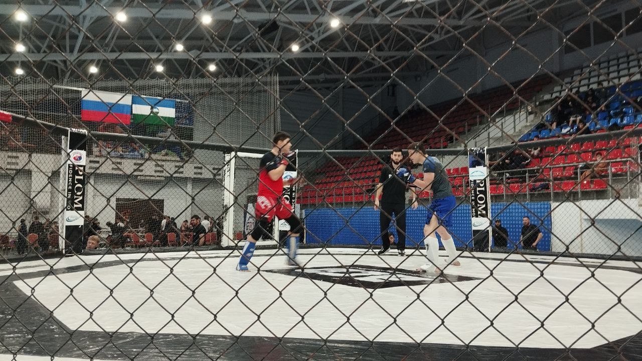 В Универсальном спорткомплексе проходит ежегодный турнир по ММА памяти мастера спорта СССР по боксу Артура Зокаева В Универсальном спорткомплексе проходит ежегодный турнир по ММА памяти мастера спорта СССР по боксу Артура Зокаева