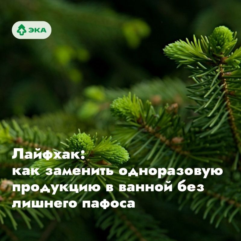 Экологичные замены в ванной: маленькие шаги к большему будущему