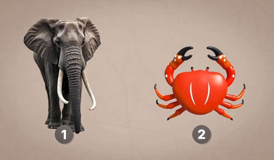 Постройте мостик между эмоциями и самопознанием