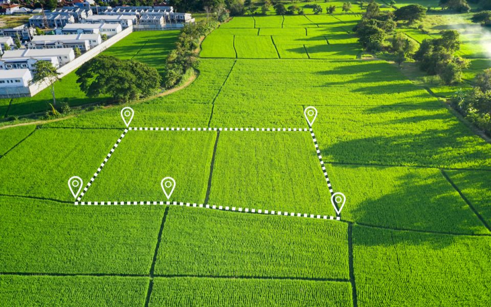 Бесхозная земля: секреты получения участка от государства