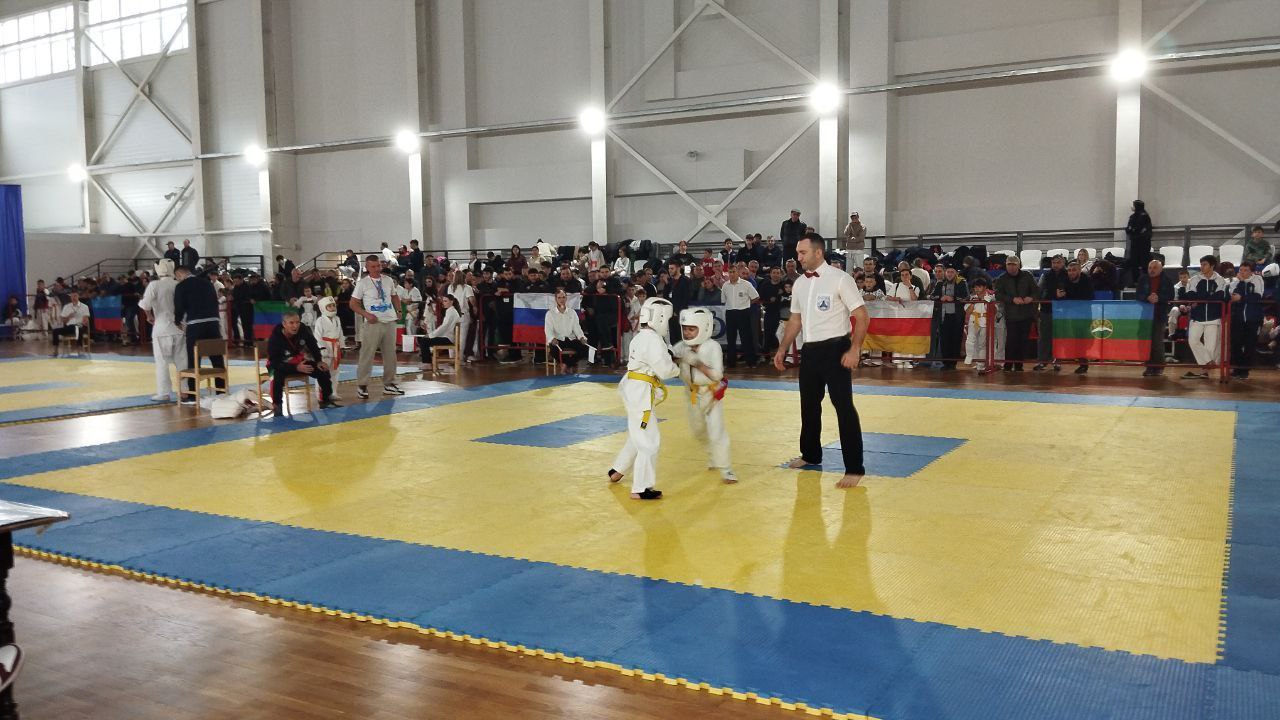 В Нальчике впервые проходит первенство СКФО по кекусинкай-карате В Нальчике впервые проходит первенство СКФО по кекусинкай-карате
