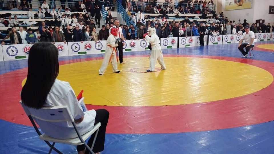 В Чегеме проходит первый в истории "Кубок Кавказа" по зендокай карате