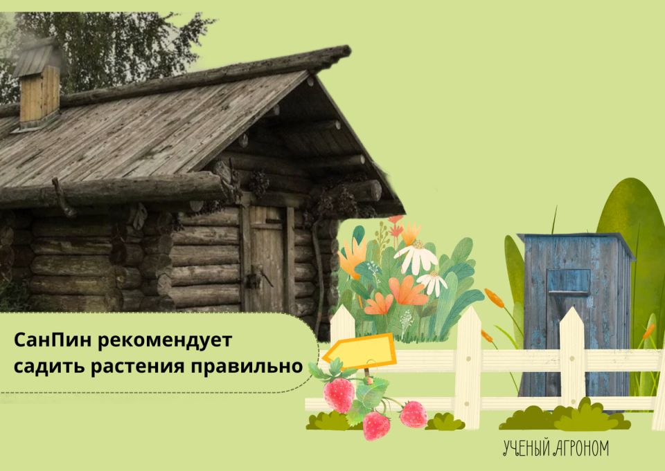 Как совместить туалет, баню и сад на маленьком участке: секреты оптимального размещения