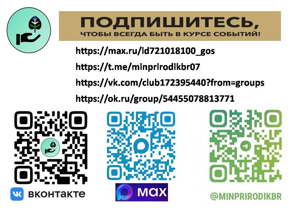 Всё самое интересное на страницах социальных сетей Минприроды КБР