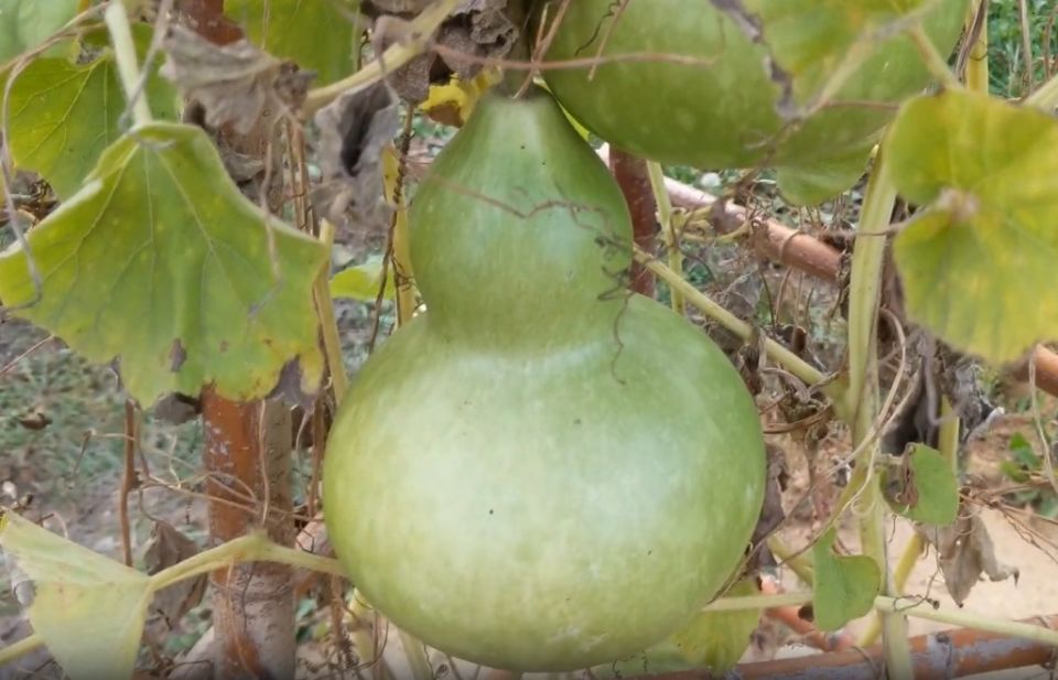 ���������: ������� ����������� ���������� ����� � �� ��������� ����������