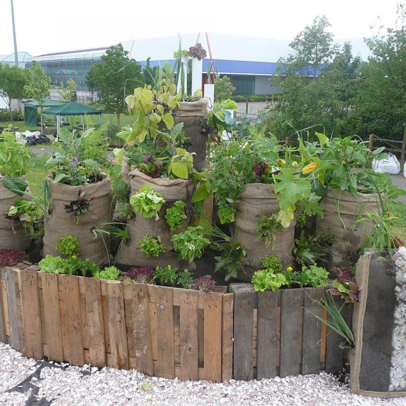 Деревянные бортики грядок: как защитить от гниения и продлить срок службы