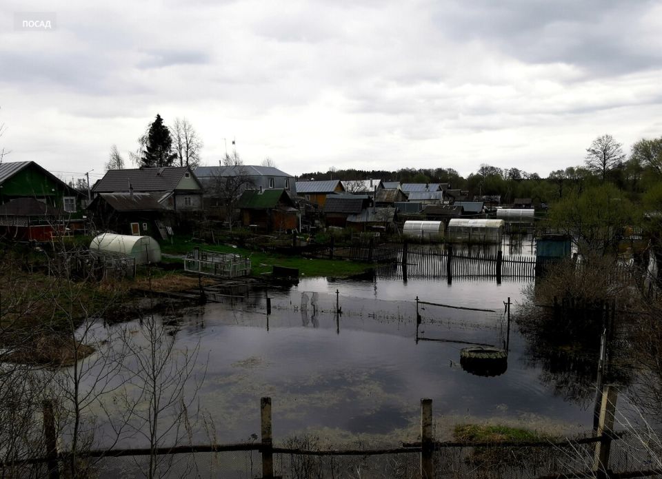 Планирование дачного участка: на что обратить внимание?