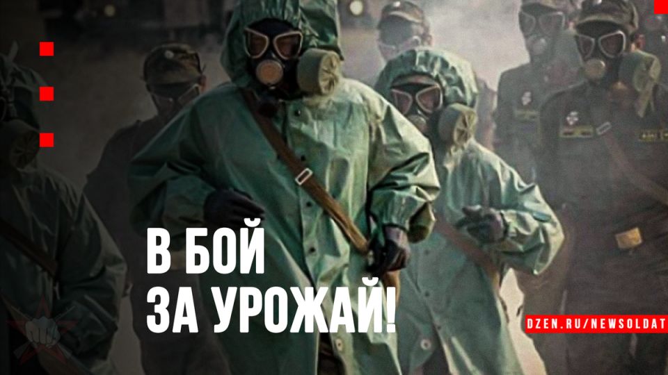 Как армейские химзащитники спасли урожай от пшеничной пуговки