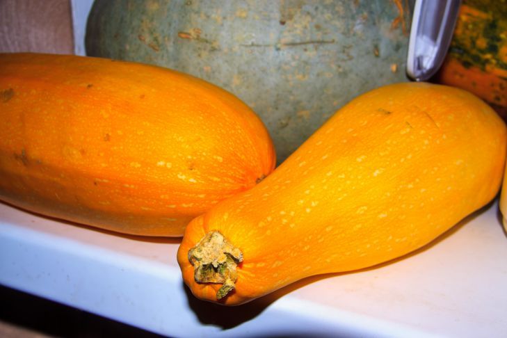 Как приятно удивить семью, приготовив кабачки необычным способом: два главных рецепта