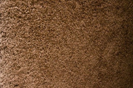 Как вернуть ковру мягкий и ровный вид как при покупке: одна хитрость для хозяек